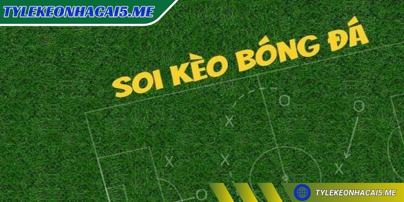 Soi kèo bóng đá hôm nay – Dự đoán chính xác giúp thắng lớn - 4 Các kèo trong soi kèo bóng đá giúp người chơi có thêm thông tin trước cược