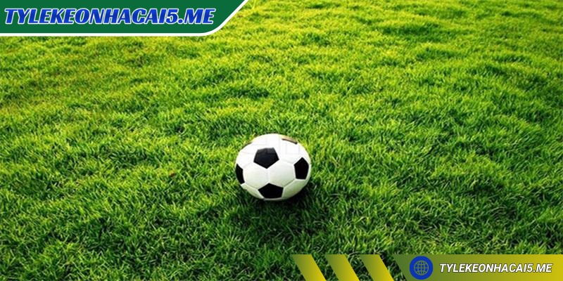 Soi kèo Cúp C1 đêm nay – Cơ hội thắng cược cực cao cho bạn - 3 Tình hình lực lượng đội là yếu tố ảnh hưởng đến đến việc soi tỷ lệ cược
